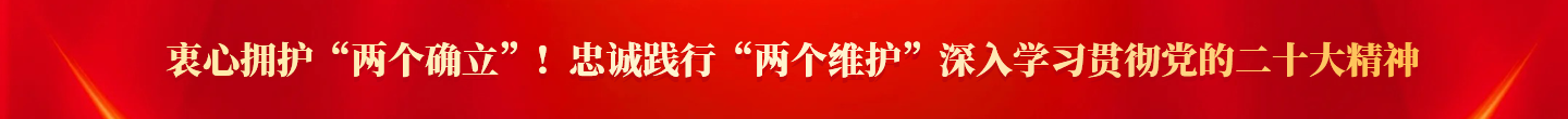 两个确立 两个维护