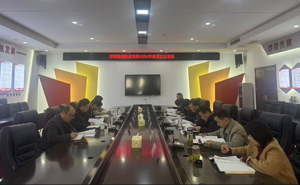 深查问题促提升，砥砺前行谋新篇  郎溪国控集团领导班子召开2024年度民主生活会