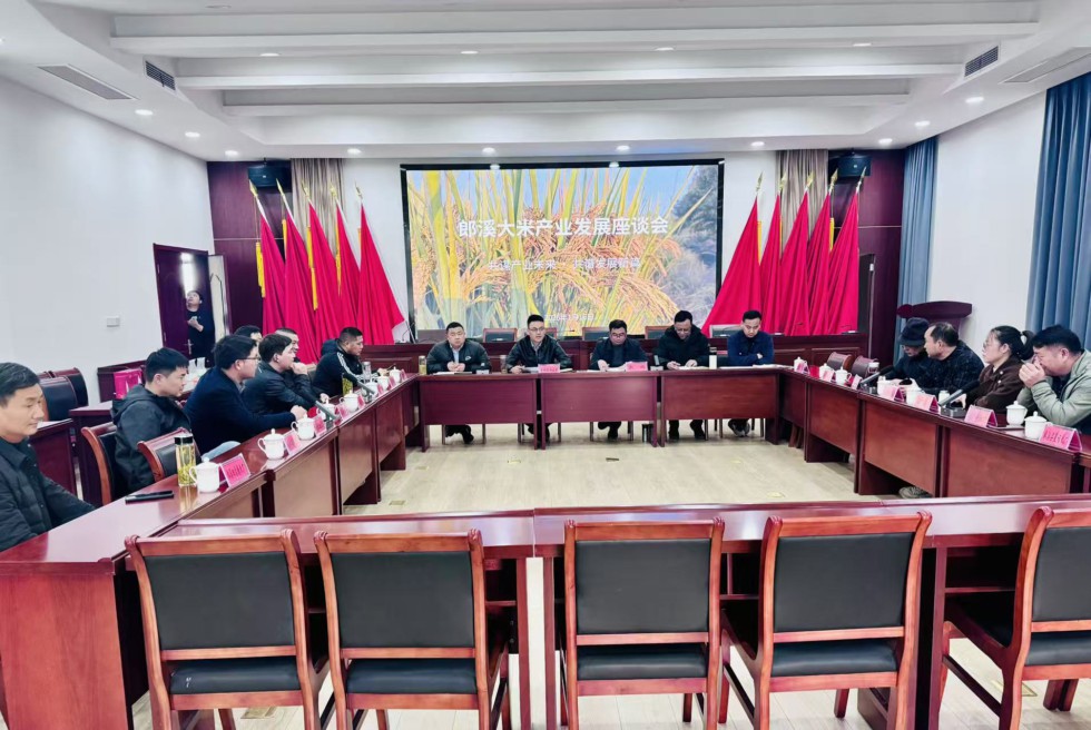 凝聚多方共识 共促产业升级 