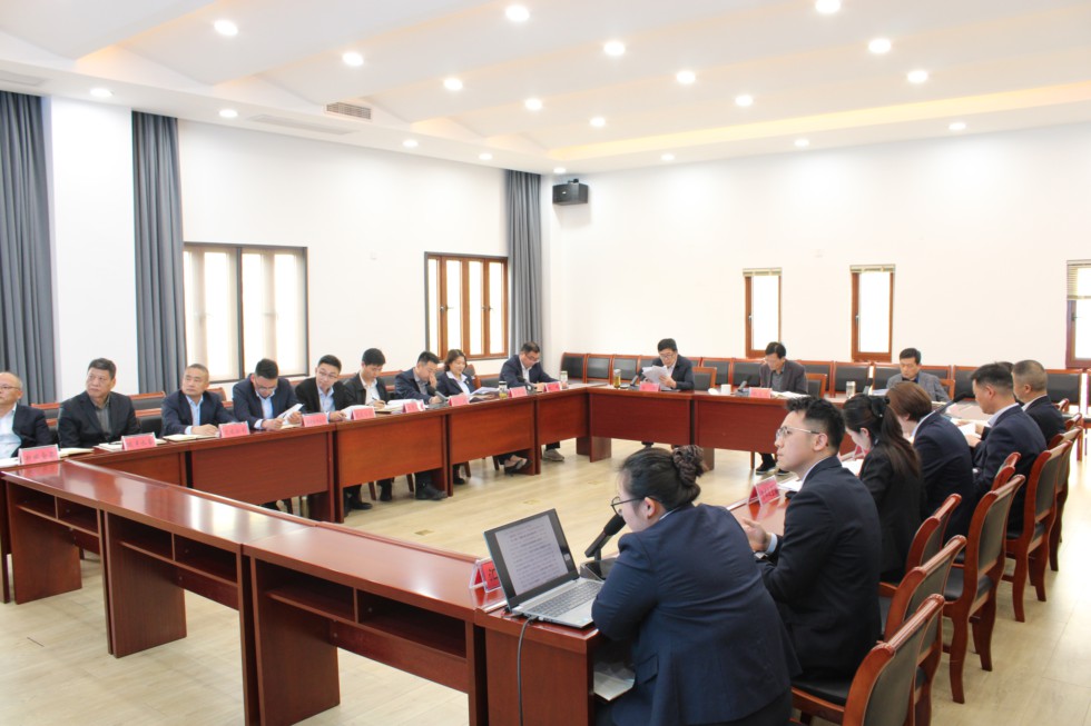 国控集团召开2026年季度重点项目建设暨实体化运营工作调度会