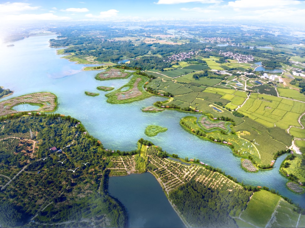 入湖前置库 丰水期.jpg